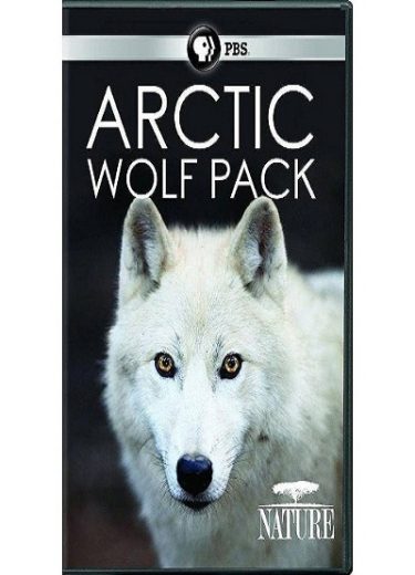 Arctic Wolf Pack 2018