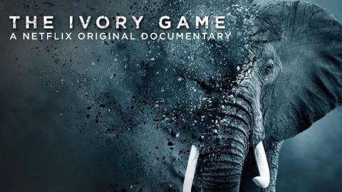 The Ivory Game 2016 مترجم