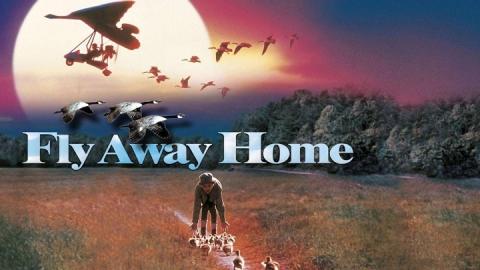 Fly Away Home 1996