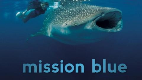 Mission Blue 2014 مترجم