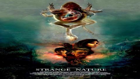 Strange Nature 2018