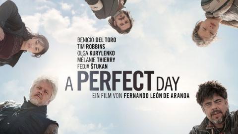 A Perfect Day 2015