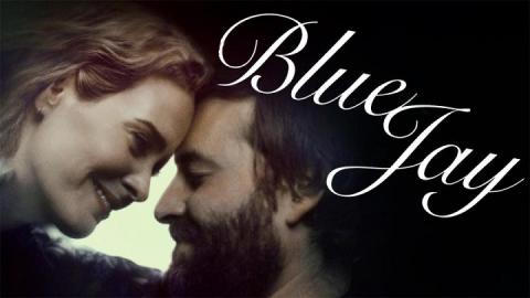 Blue Jay 2016 مترجم