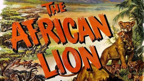 The African Lion 1955